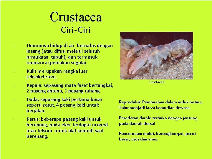 Crustacea Ciri-Ciri • • • Umumnya hidup di air, bernafas dengan insang (atau difusi