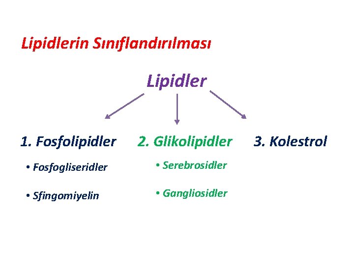 Lipidlerin Sınıflandırılması Lipidler 1. Fosfolipidler 2. Glikolipidler • Fosfogliseridler • Serebrosidler • Sfingomiyelin •