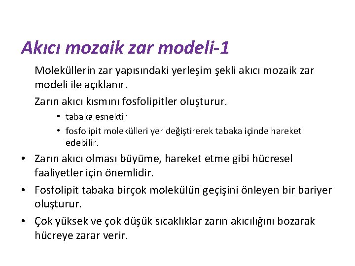 Akıcı mozaik zar modeli-1 Moleküllerin zar yapısındaki yerleşim şekli akıcı mozaik zar modeli ile