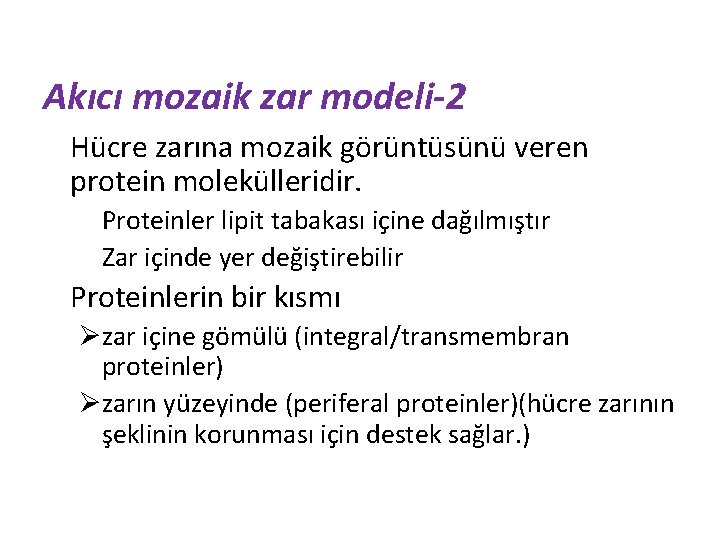 Akıcı mozaik zar modeli-2 Hücre zarına mozaik görüntüsünü veren protein molekülleridir. Proteinler lipit tabakası