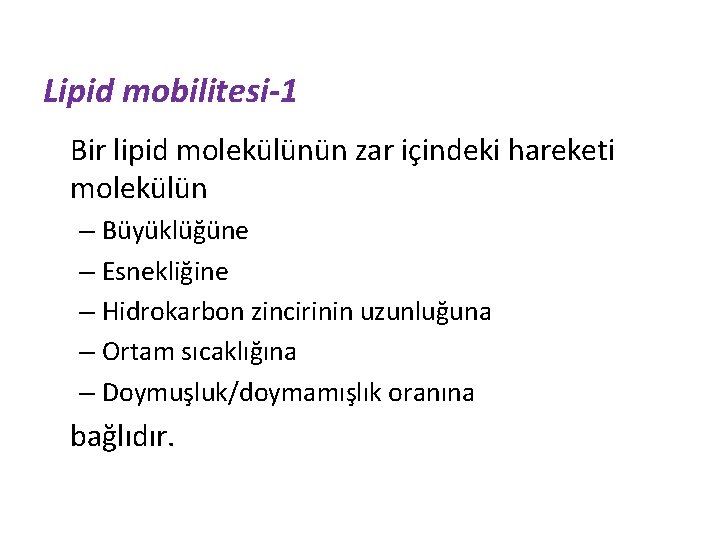 Lipid mobilitesi-1 Bir lipid molekülünün zar içindeki hareketi molekülün – Büyüklüğüne – Esnekliğine –