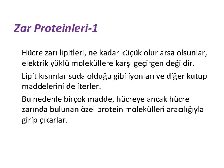 Zar Proteinleri-1 Hücre zarı lipitleri, ne kadar küçük olurlarsa olsunlar, elektrik yüklü moleküllere karşı