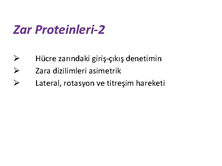 Zar Proteinleri-2 Ø Ø Ø Hücre zarındaki giriş-çıkış denetimin Zara dizilimleri asimetrik Lateral, rotasyon