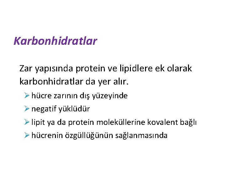 Karbonhidratlar Zar yapısında protein ve lipidlere ek olarak karbonhidratlar da yer alır. Ø hücre