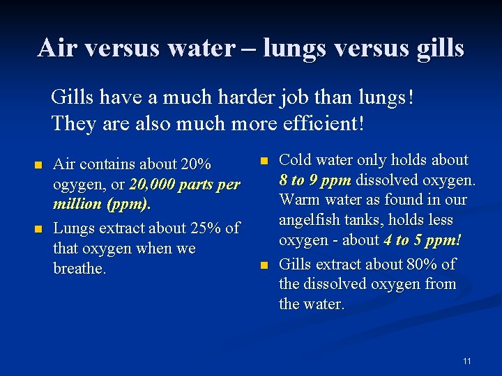 Air versus water – lungs versus gills Gills have a much harder job than