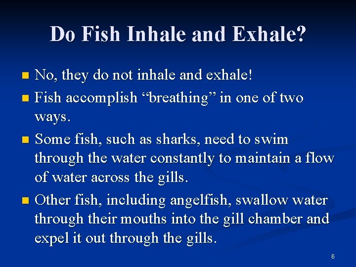 Do Fish Inhale and Exhale? No, they do not inhale and exhale! n Fish