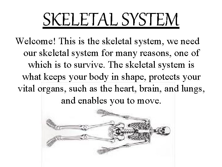 SKELETAL SYSTEM Welcome! This is the skeletal system, we need our skeletal system for