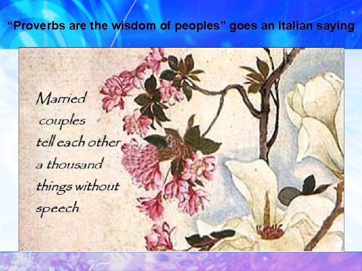 “Proverbs are the wisdom of peoples” goes an Italian saying 