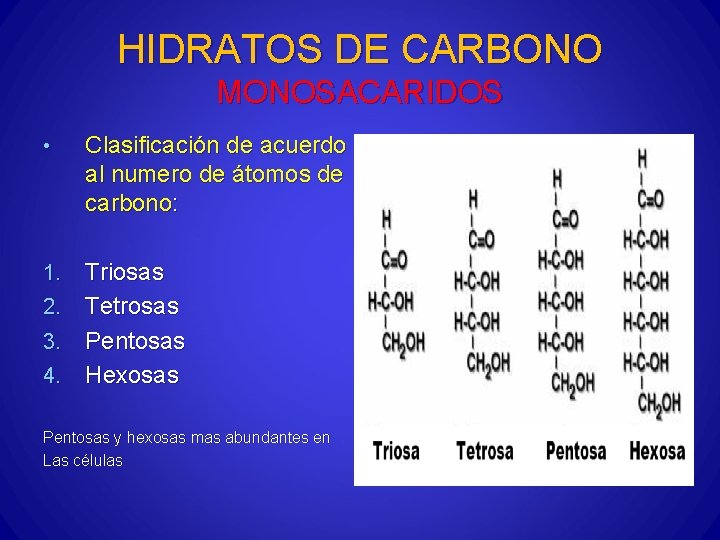 HIDRATOS DE CARBONO MONOSACARIDOS • Clasificación de acuerdo al numero de átomos de carbono: