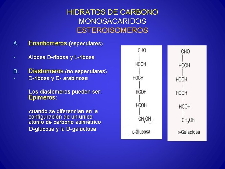 HIDRATOS DE CARBONO MONOSACARIDOS ESTEROISOMEROS A. Enantiomeros (especulares) • Aldosa D-ribosa y L-ribosa B.