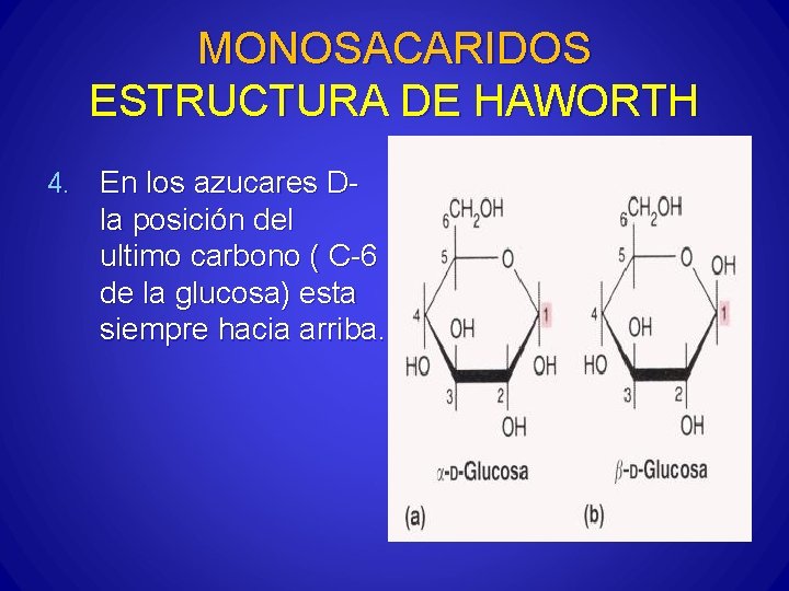 MONOSACARIDOS ESTRUCTURA DE HAWORTH 4. En los azucares D- la posición del ultimo carbono