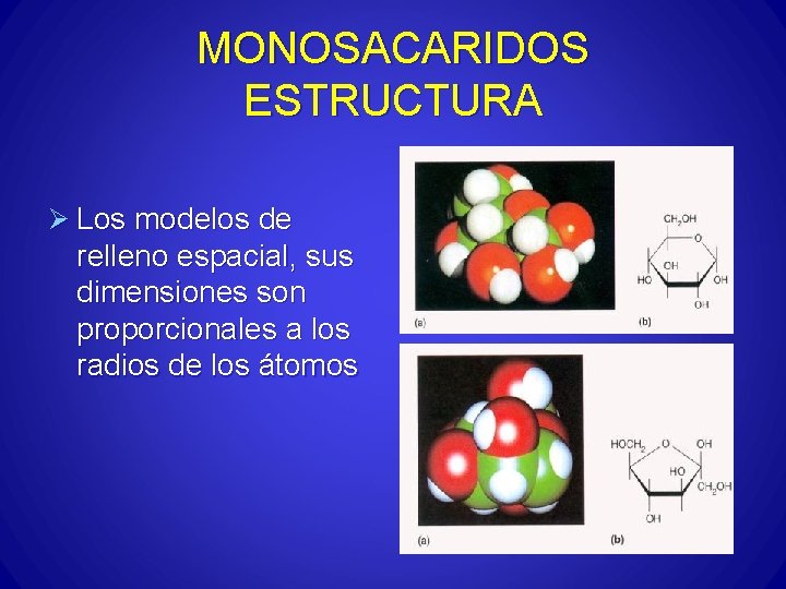 MONOSACARIDOS ESTRUCTURA Ø Los modelos de relleno espacial, sus dimensiones son proporcionales a los