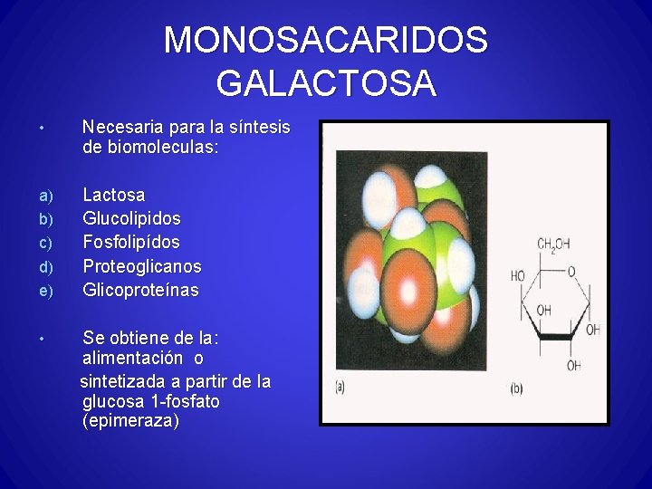 MONOSACARIDOS GALACTOSA • Necesaria para la síntesis de biomoleculas: a) b) c) d) e)