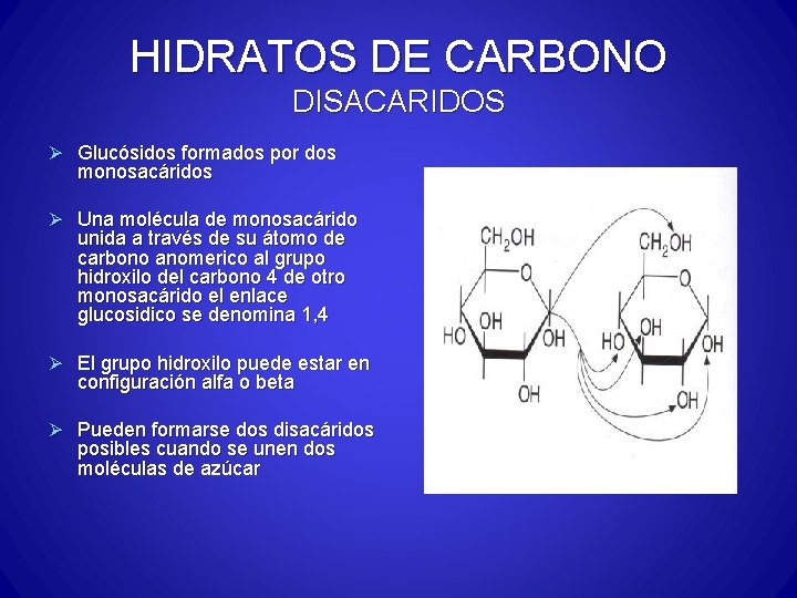 HIDRATOS DE CARBONO DISACARIDOS Ø Glucósidos formados por dos monosacáridos Ø Una molécula de