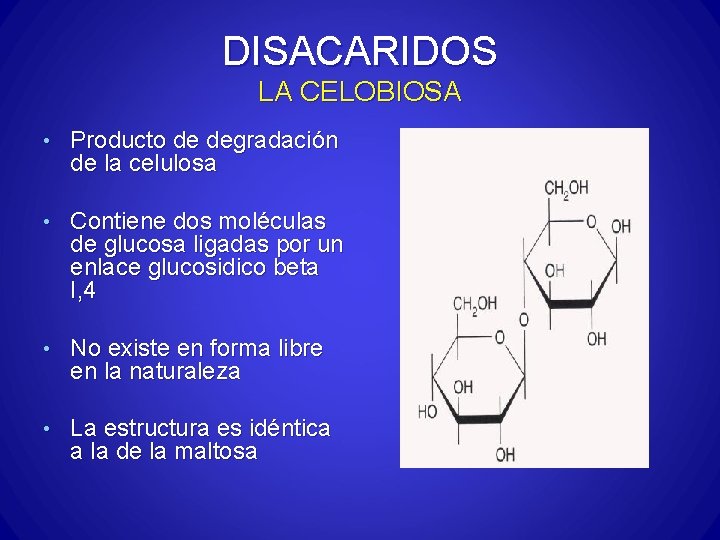 DISACARIDOS LA CELOBIOSA • Producto de degradación de la celulosa • Contiene dos moléculas