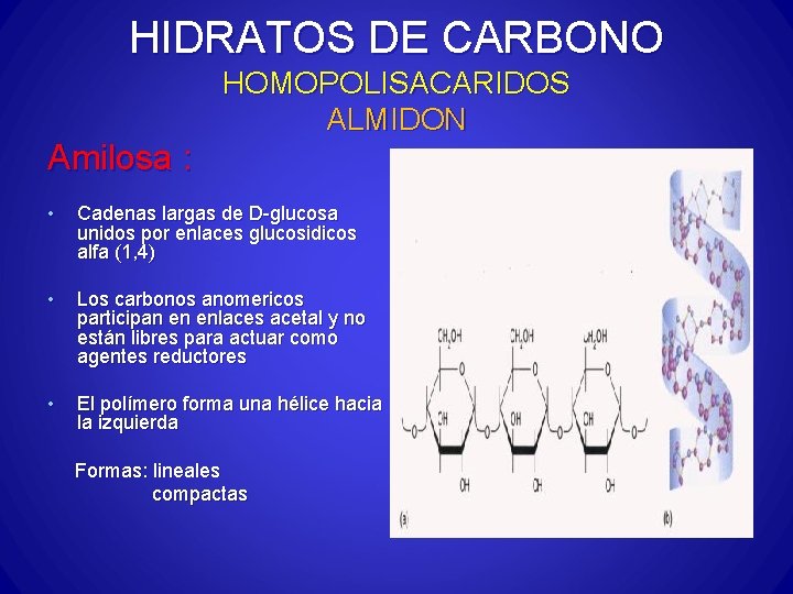 HIDRATOS DE CARBONO HOMOPOLISACARIDOS ALMIDON Amilosa : • Cadenas largas de D-glucosa unidos por