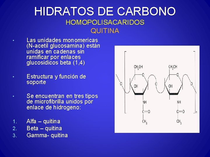 HIDRATOS DE CARBONO HOMOPOLISACARIDOS QUITINA • Las unidades monomericas (N-acetil glucosamina) están unidas en