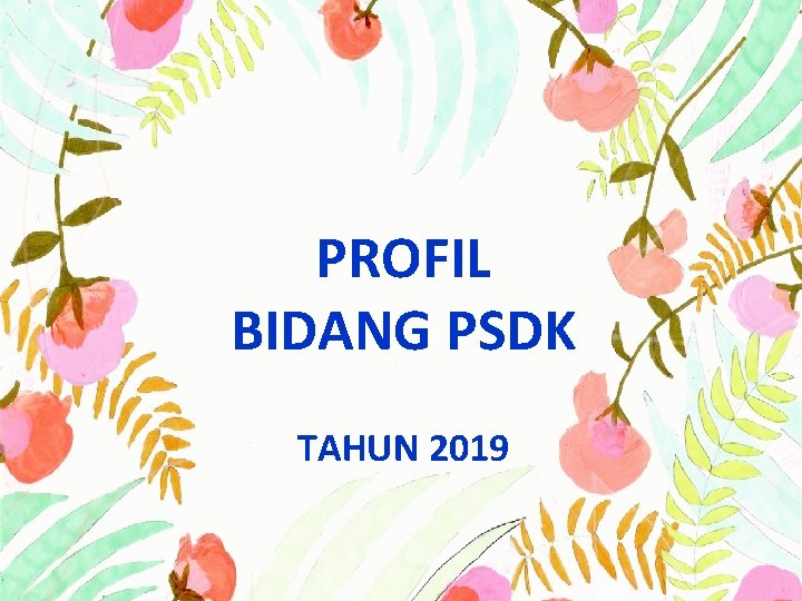 PROFIL BIDANG PSDK TAHUN 2019 