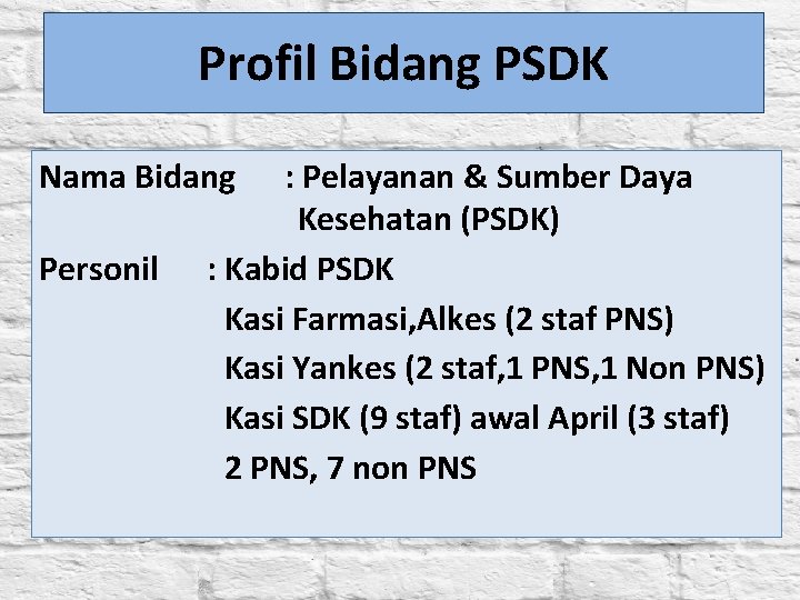 Profil Bidang PSDK Nama Bidang Personil : Pelayanan & Sumber Daya Kesehatan (PSDK) :