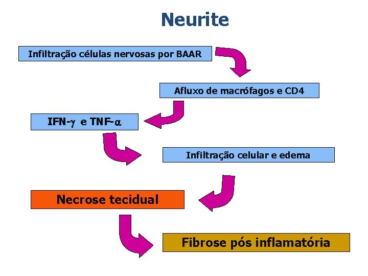 Neurite Infiltração células nervosas por BAAR Afluxo de macrófagos e CD 4 IFN-g e