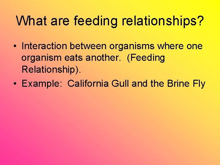 What are feeding relationships? • Interaction between organisms where one organism eats another. (Feeding