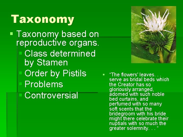 Taxonomy § Taxonomy based on reproductive organs. § Class determined by Stamen § Order Taxonomy § Taxonomy based on reproductive organs. § Class determined by Stamen § Order