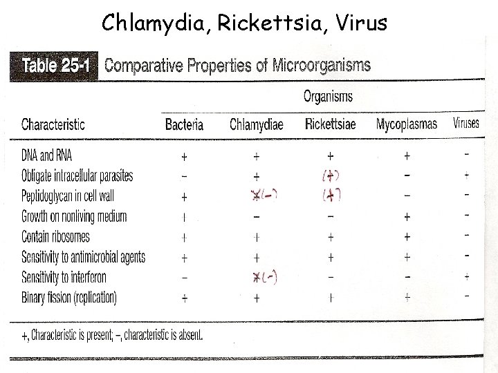 Chlamydia, Rickettsia, Virus 