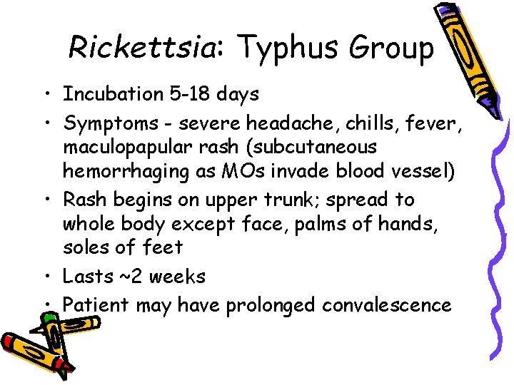 Rickettsia: Typhus Group • Incubation 5 -18 days • Symptoms - severe headache, chills,
