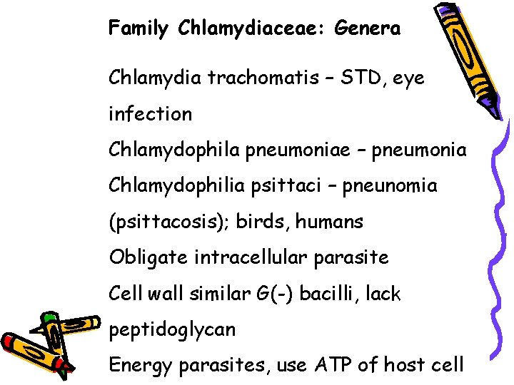 Family Chlamydiaceae: Genera Chlamydia trachomatis – STD, eye infection Chlamydophila pneumoniae – pneumonia Chlamydophilia