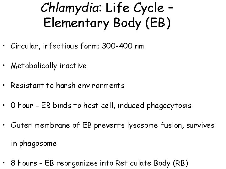 Chlamydia: Life Cycle – Elementary Body (EB) • Circular, infectious form; 300 -400 nm