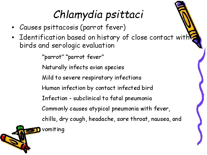 Chlamydia psittaci • Causes psittacosis (parrot fever) • Identification based on history of close