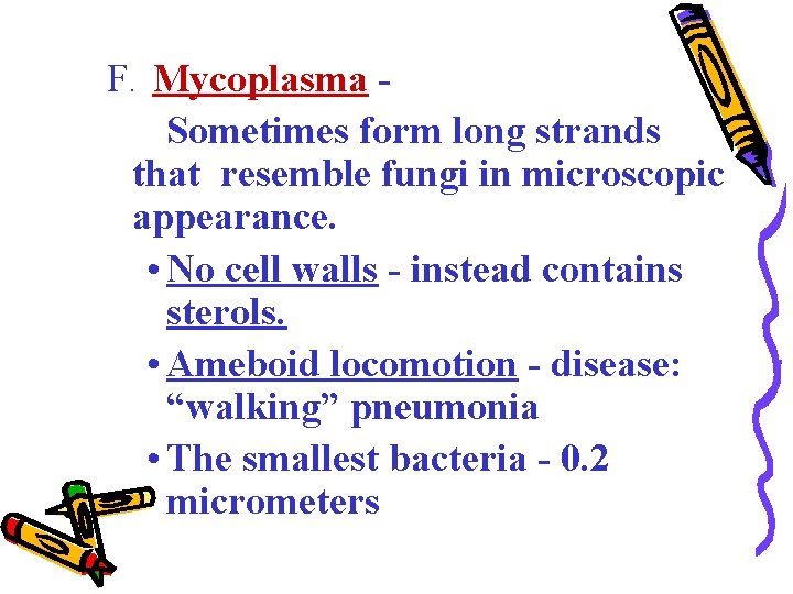 F. Mycoplasma Sometimes form long strands that resemble fungi in microscopic appearance. • No