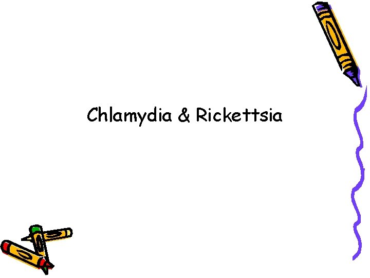 Chlamydia & Rickettsia 