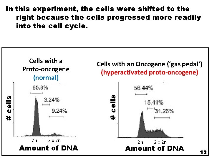 In this experiment, the cells were shifted to the right because the cells progressed In this experiment, the cells were shifted to the right because the cells progressed
