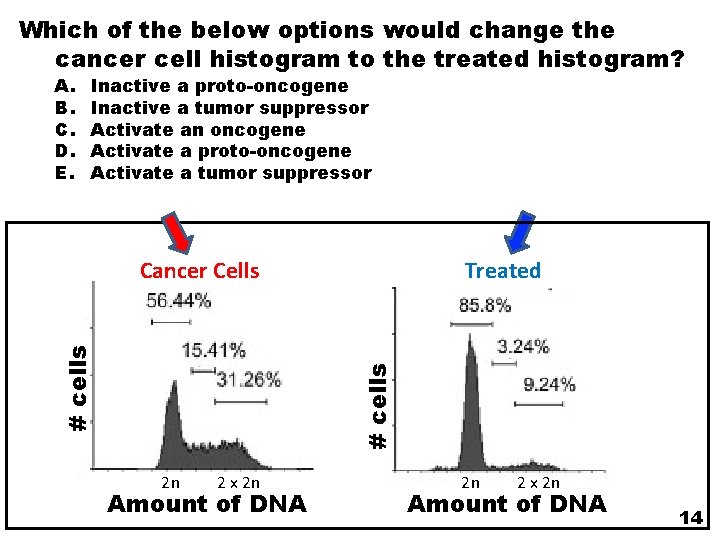Which of the below options would change the cancer cell histogram to the treated