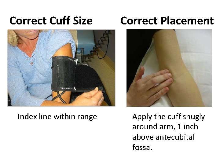 Correct Cuff Size Index line within range Correct Placement Apply the cuff snugly around