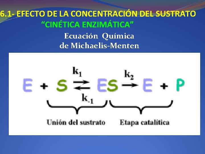 6. 1 - EFECTO DE LA CONCENTRACIÓN DEL SUSTRATO “CINÉTICA ENZIMÁTICA” Ecuación Química de 6. 1 - EFECTO DE LA CONCENTRACIÓN DEL SUSTRATO “CINÉTICA ENZIMÁTICA” Ecuación Química de
