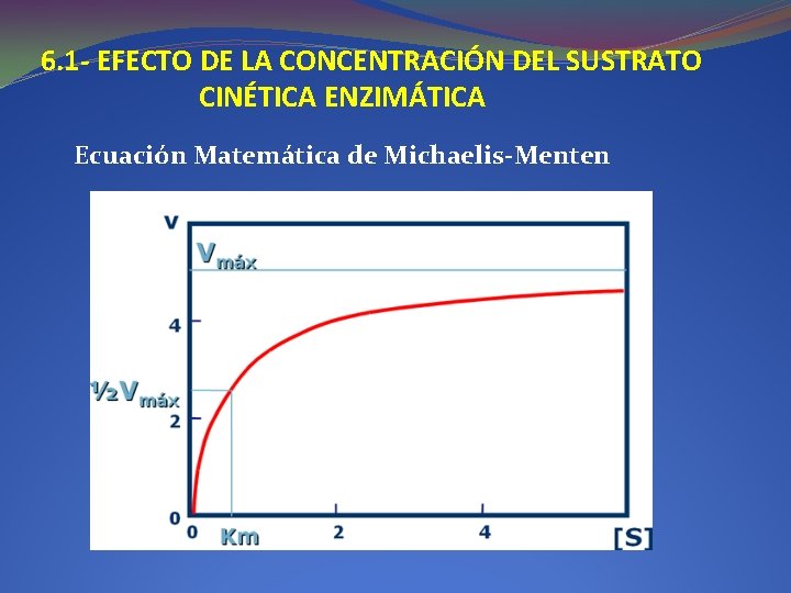 6. 1 - EFECTO DE LA CONCENTRACIÓN DEL SUSTRATO CINÉTICA ENZIMÁTICA Ecuación Matemática de