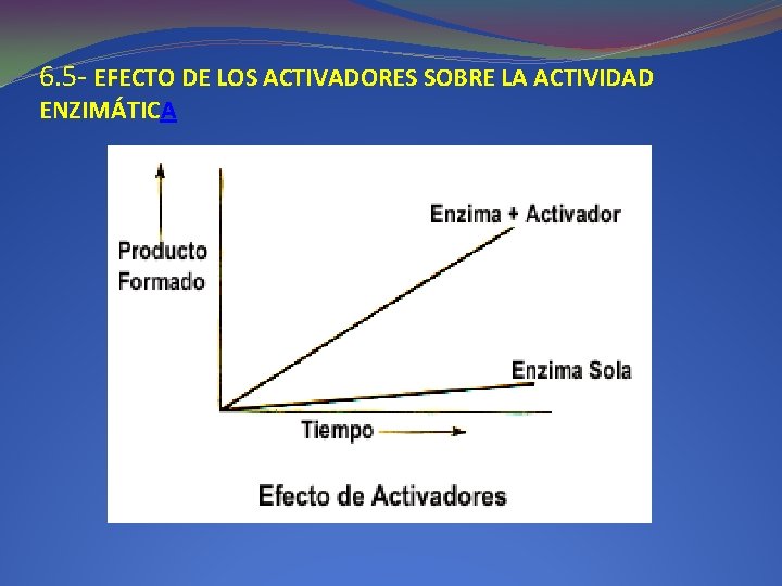 6. 5 - EFECTO DE LOS ACTIVADORES SOBRE LA ACTIVIDAD ENZIMÁTICA 6. 5 - EFECTO DE LOS ACTIVADORES SOBRE LA ACTIVIDAD ENZIMÁTICA