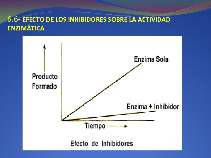 6. 6 - EFECTO DE LOS INHIBIDORES SOBRE LA ACTIVIDAD ENZIMÁTICA 6. 6 - EFECTO DE LOS INHIBIDORES SOBRE LA ACTIVIDAD ENZIMÁTICA