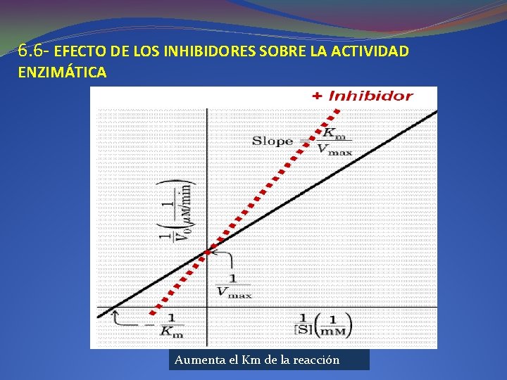 6. 6 - EFECTO DE LOS INHIBIDORES SOBRE LA ACTIVIDAD ENZIMÁTICA Aumenta el Km