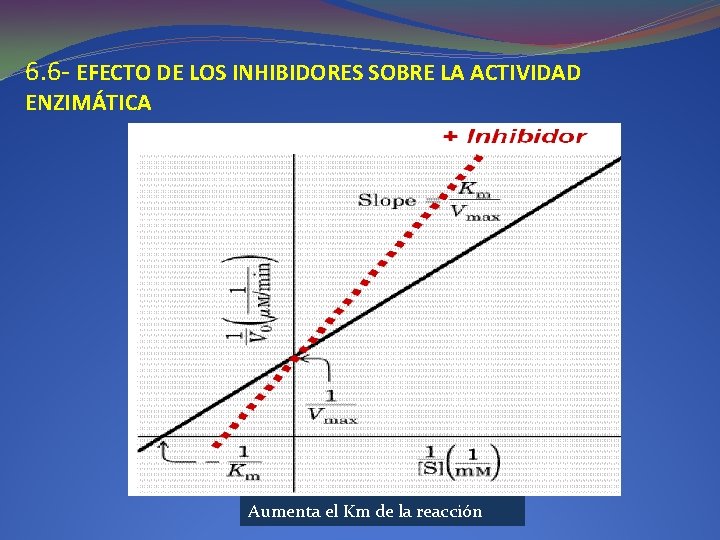 6. 6 - EFECTO DE LOS INHIBIDORES SOBRE LA ACTIVIDAD ENZIMÁTICA Aumenta el Km 6. 6 - EFECTO DE LOS INHIBIDORES SOBRE LA ACTIVIDAD ENZIMÁTICA Aumenta el Km