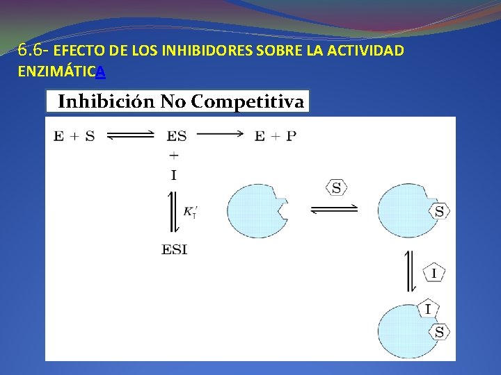 6. 6 - EFECTO DE LOS INHIBIDORES SOBRE LA ACTIVIDAD ENZIMÁTICA IInhibición No Competitiva 6. 6 - EFECTO DE LOS INHIBIDORES SOBRE LA ACTIVIDAD ENZIMÁTICA IInhibición No Competitiva