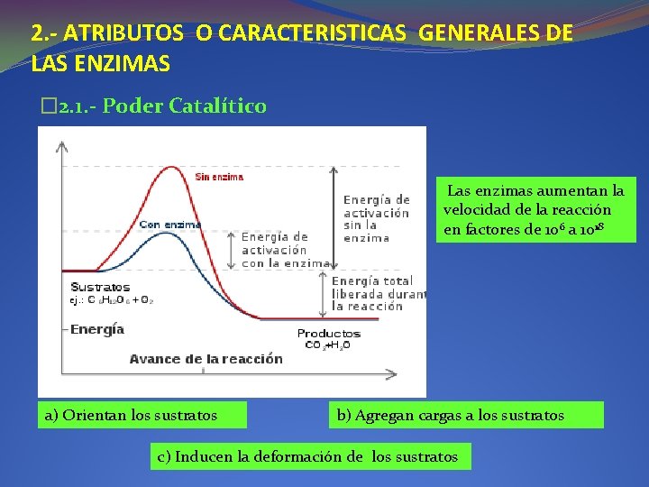 2. - ATRIBUTOS O CARACTERISTICAS GENERALES DE LAS ENZIMAS � 2. 1. - Poder