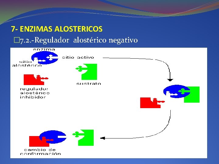 7 - ENZIMAS ALOSTERICOS � 7. 2. -Regulador alostérico negativo 