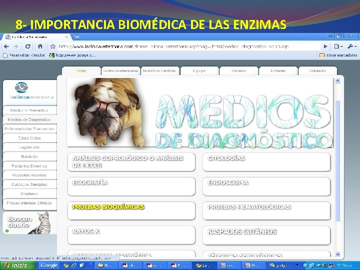 8 - IMPORTANCIA BIOMÉDICA DE LAS ENZIMAS 8 - IMPORTANCIA BIOMÉDICA DE LAS ENZIMAS