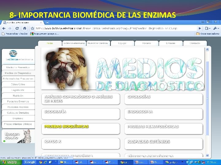 8 - IMPORTANCIA BIOMÉDICA DE LAS ENZIMAS 