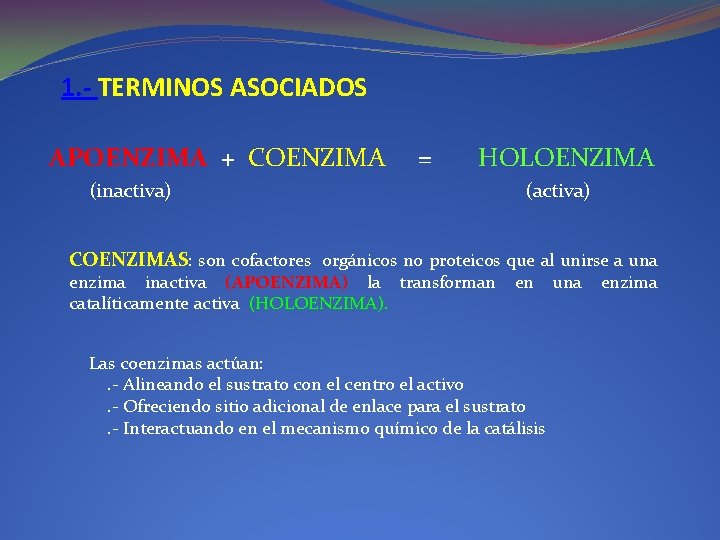 1. - TERMINOS ASOCIADOS APOENZIMA + COENZIMA = HOLOENZIMA (inactiva) (activa) COENZIMAS: son cofactores