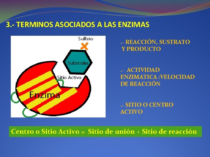 3. - TERMINOS ASOCIADOS A LAS ENZIMAS. - REACCIÓN, SUSTRATO Y PRODUCTO. - ACTIVIDAD