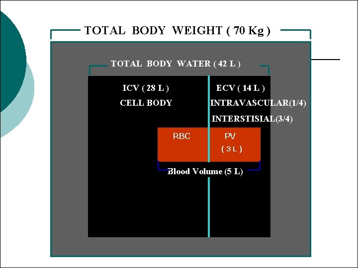 TOTAL BODY WEIGHT ( 70 Kg ) TOTAL BODY WATER ( 42 L )